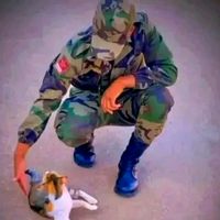 الصوت الأصلي