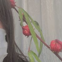 ayane_7018