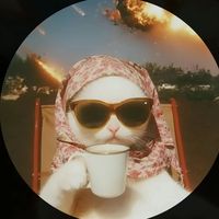 meaw8846
