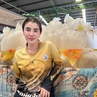 baifern.narissara.bf