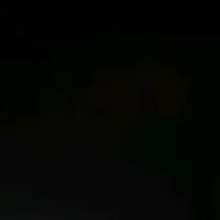 original sound - riff9937