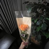 nana178_0