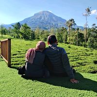 suara asli - vitafatimahhadiwi