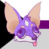fernypaw