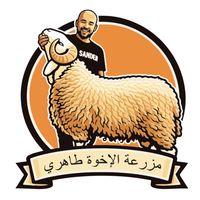 charafeddinetahri2