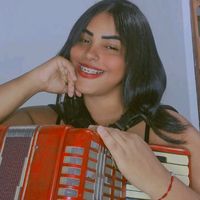 andreiadoacordeon