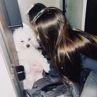 vikkllyapkinaa