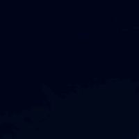 suara asli - salsaaura029