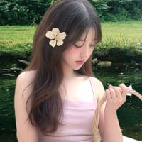 cyeorin_
