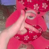 princes06358