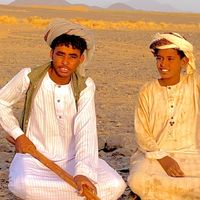 الصوت الأصلي