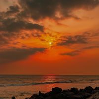 jose_hedinardo