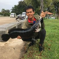 slots_fishing