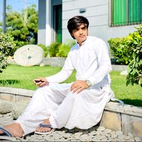 alizulfiqar183