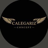 calegarizconcept01