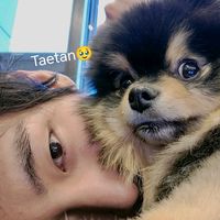taehyung_lover123095