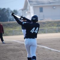 44taishisogabe