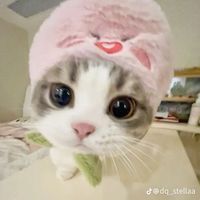 nhạc nền - Eglantine