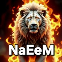 mirza.naeem895