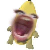 olla_vortal
