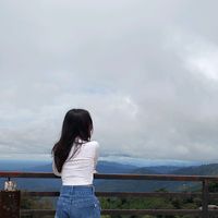 nikkon.2k10