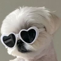 lovewsoh3
