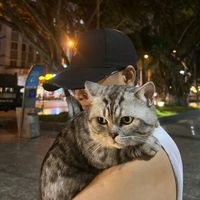 nicktruong29