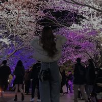 kkj_393