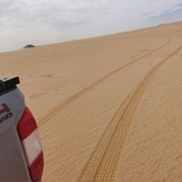 227saharawi1