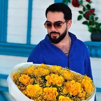 pervizmezahiroglu