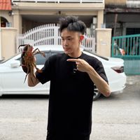 kl_xielaoshi
