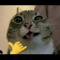suara asli - kizu