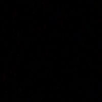 nycol_010