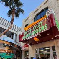hamstar_food