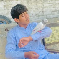 choudhary_ubaid88