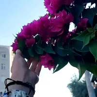 original sound - kirikhayaler6301