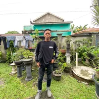 original sound - ahmaddani6574
