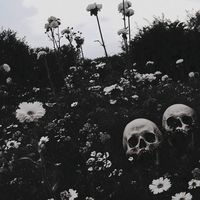 _jvp24