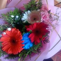 fabby_280
