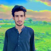 shafique.ahmed101