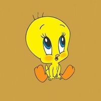tweety_0.1