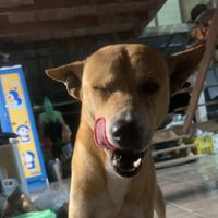 เสียงต้นฉบับ - มูฟออนเป็นวงกลม