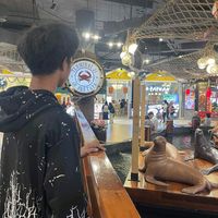 เสียงต้นฉบับ - user48063361610