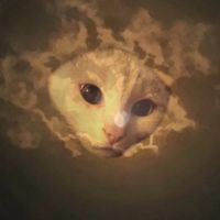 gatin_omnipotente