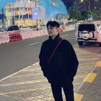 vincent6668ho