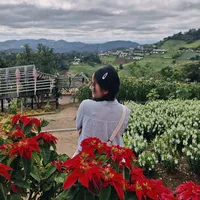 original sound - du35420