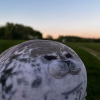 original sound - Sporky <3