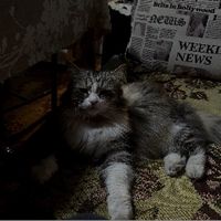 оригинальный звук