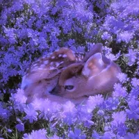 Ladies and gentlemen it was lovely to have you