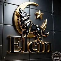elchin086